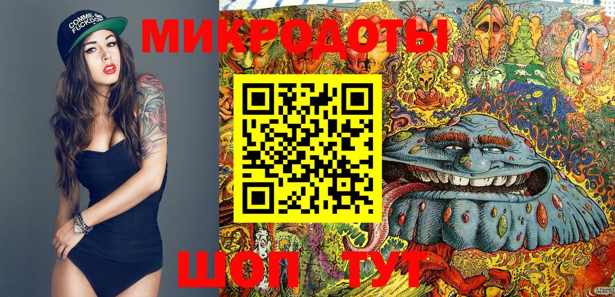 Псилоцибиновые грибы Psilocybe Сафоново